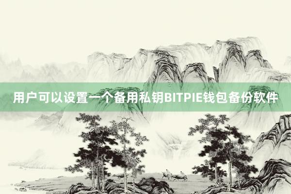 用户可以设置一个备用私钥BITPIE钱包备份软件