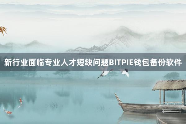 新行业面临专业人才短缺问题BITPIE钱包备份软件