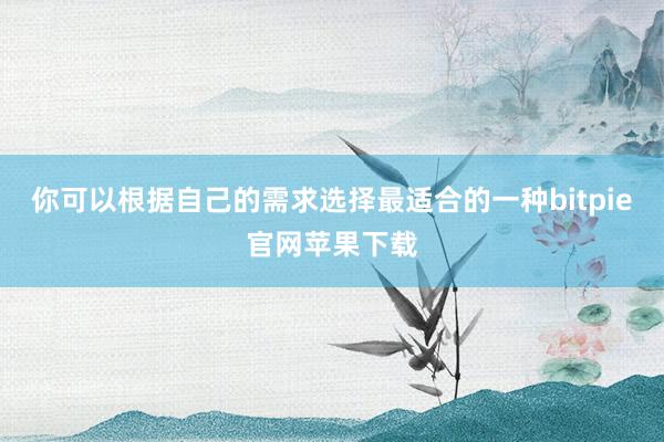 你可以根据自己的需求选择最适合的一种bitpie官网苹果下载