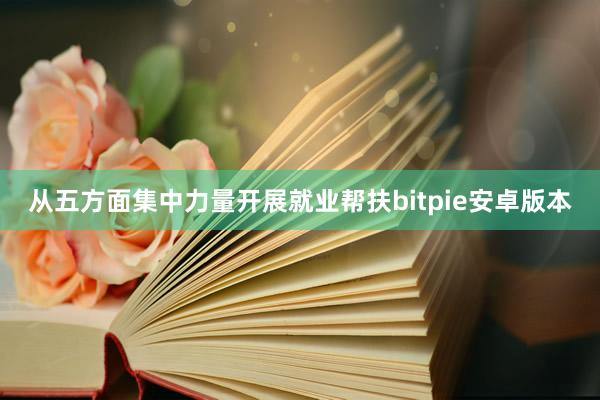 从五方面集中力量开展就业帮扶bitpie安卓版本