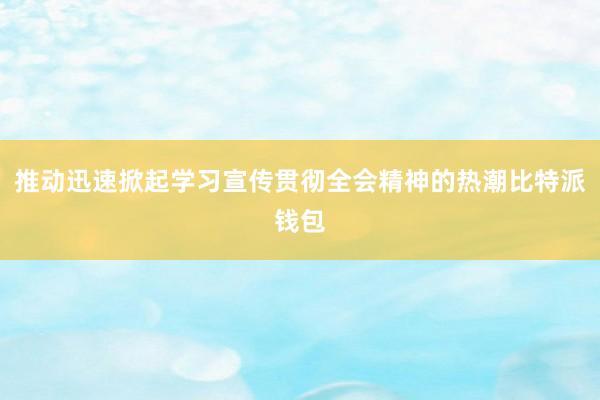 推动迅速掀起学习宣传贯彻全会精神的热潮比特派钱包