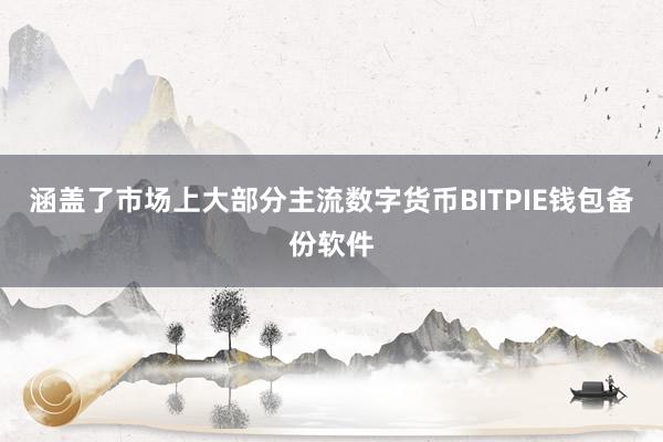 涵盖了市场上大部分主流数字货币BITPIE钱包备份软件