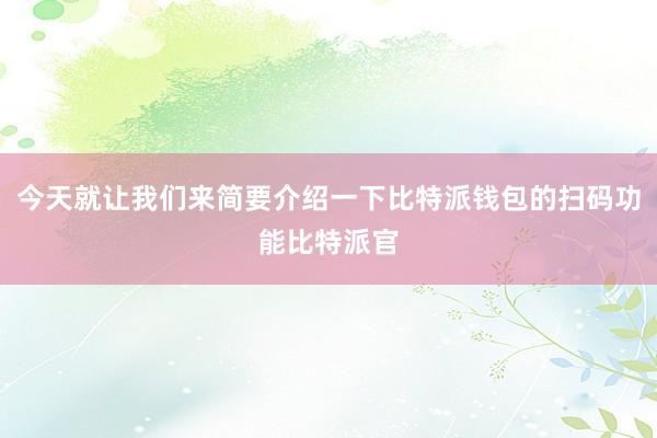 今天就让我们来简要介绍一下比特派钱包的扫码功能比特派官