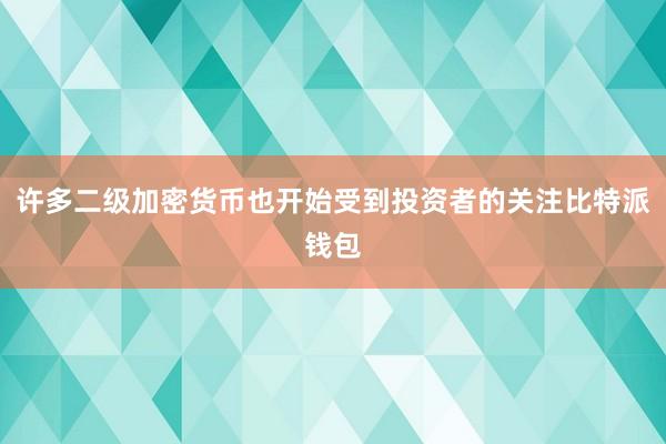 许多二级加密货币也开始受到投资者的关注比特派钱包