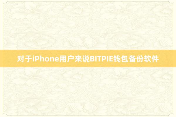 对于iPhone用户来说BITPIE钱包备份软件