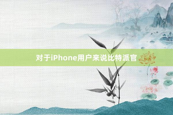 对于iPhone用户来说比特派官