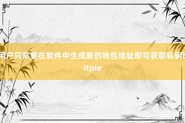 用户只需要在软件中生成新的钱包地址即可获取私钥bitpie