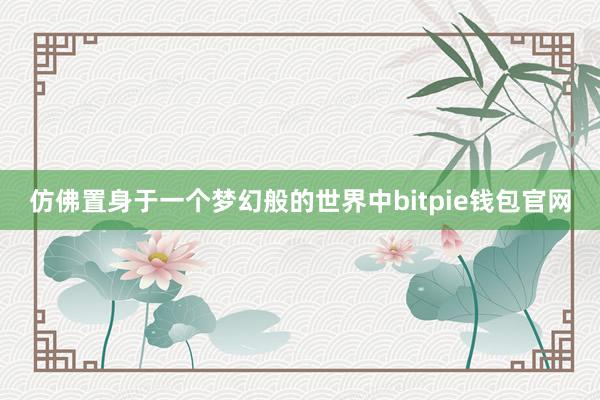 仿佛置身于一个梦幻般的世界中bitpie钱包官网