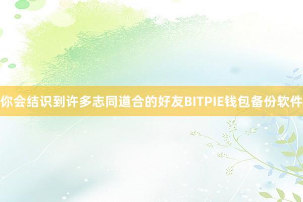 你会结识到许多志同道合的好友BITPIE钱包备份软件