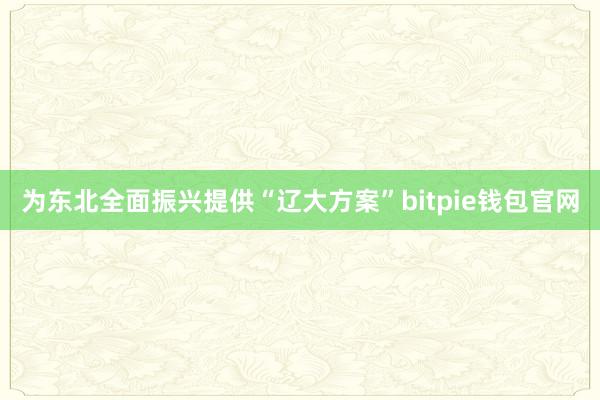 为东北全面振兴提供“辽大方案”bitpie钱包官网