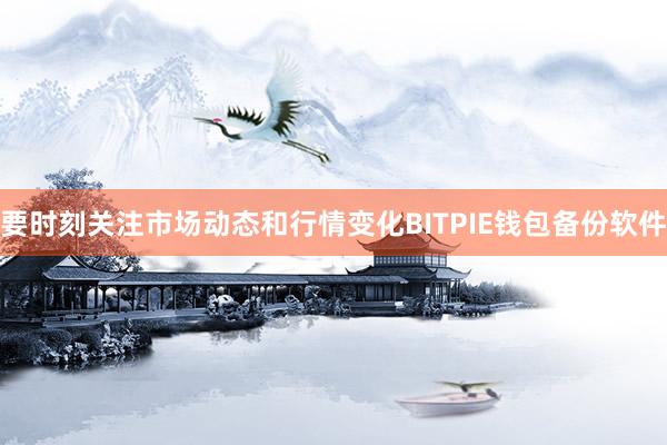 要时刻关注市场动态和行情变化BITPIE钱包备份软件