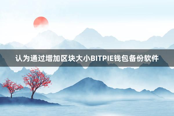 认为通过增加区块大小BITPIE钱包备份软件