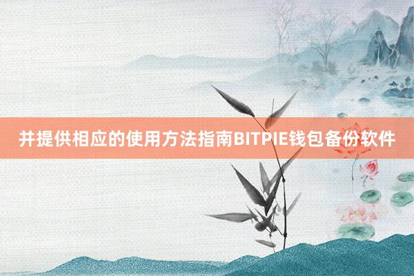 并提供相应的使用方法指南BITPIE钱包备份软件