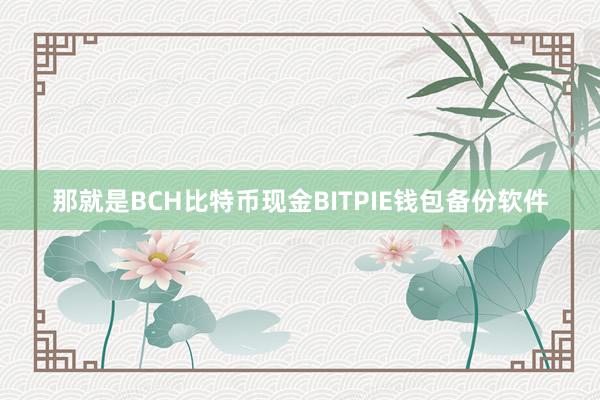 那就是BCH比特币现金BITPIE钱包备份软件