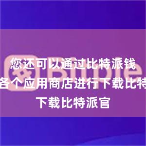 您还可以通过比特派钱包在各个应用商店进行下载比特派官