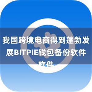 我国跨境电商得到蓬勃发展BITPIE钱包备份软件