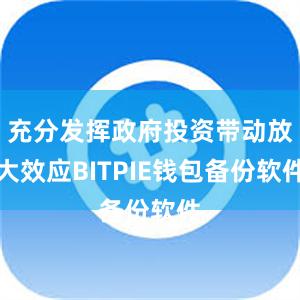 充分发挥政府投资带动放大效应BITPIE钱包备份软件