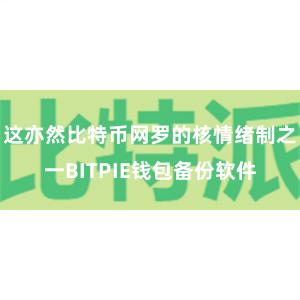 这亦然比特币网罗的核情绪制之一BITPIE钱包备份软件